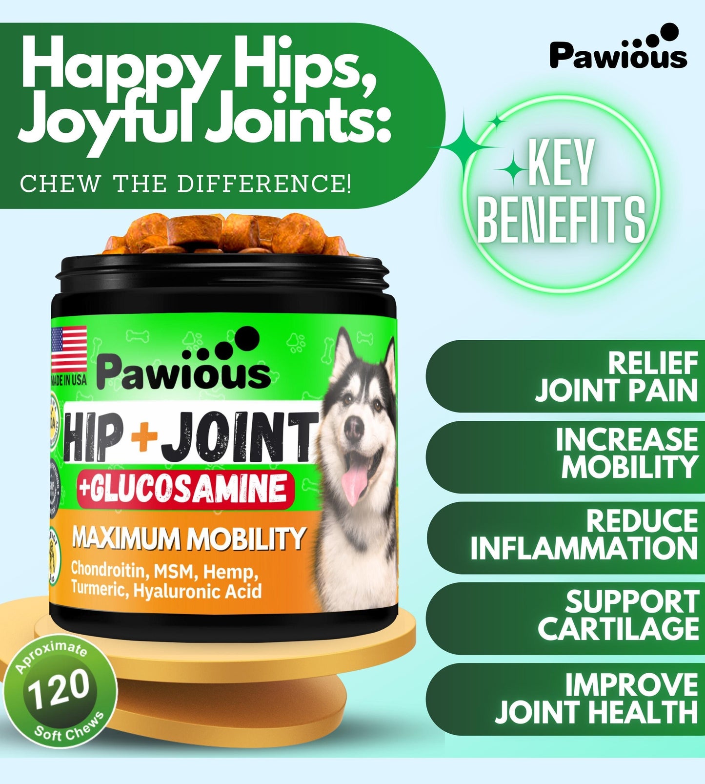 Pawious Hip and Joint Supplement for Dogs Glucosamine for Dogs Dog