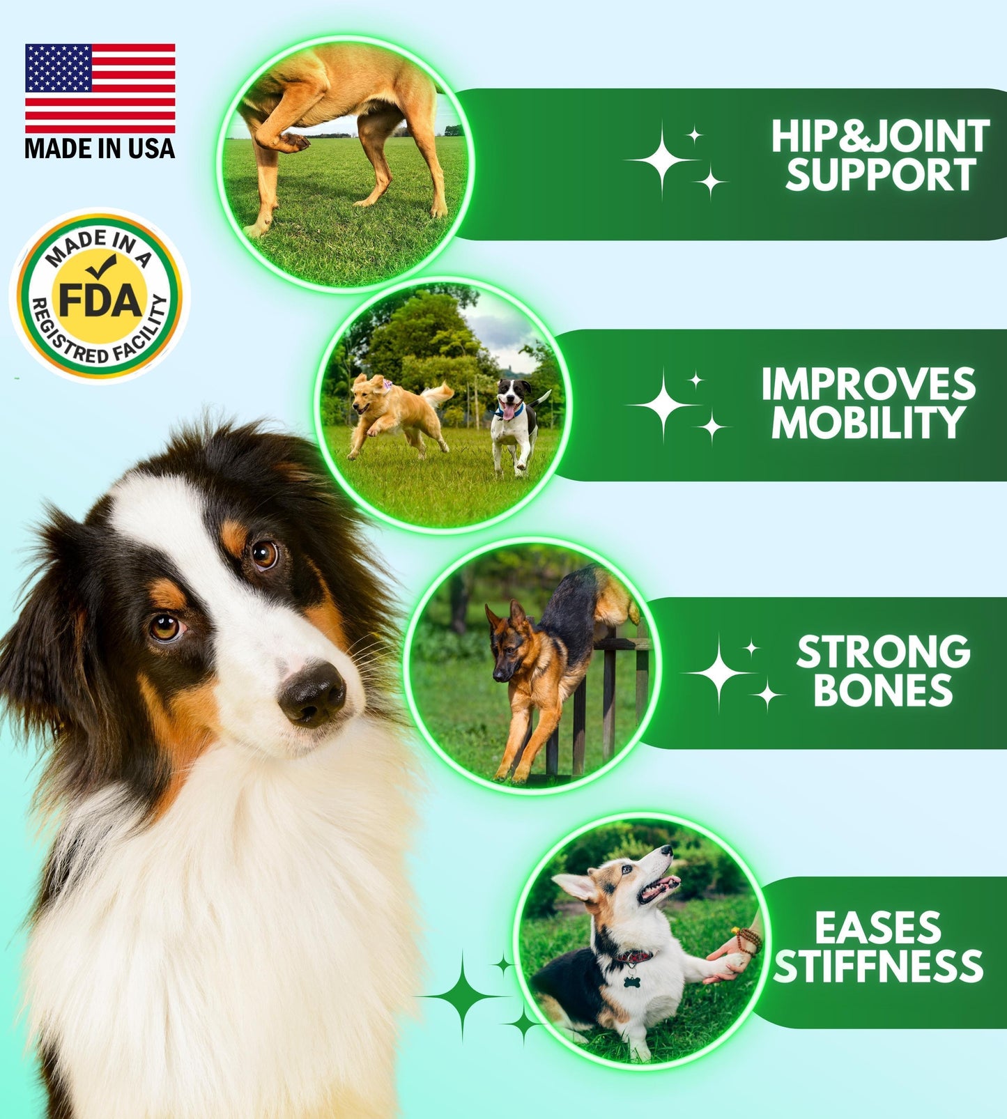 Pawious Hip and Joint Supplement for Dogs Glucosamine for Dogs Dog