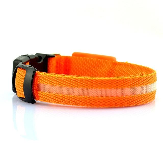 Stella’s Favorite: USB Rechargeable LED Dog Collar