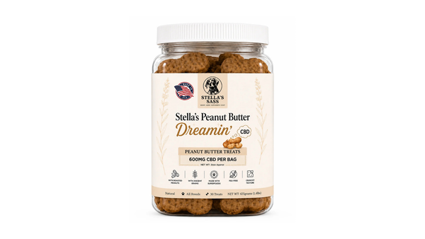 Best CBD for Dog Anxiety: A Complete Guide to Calming Your Anxious Dog Naturally