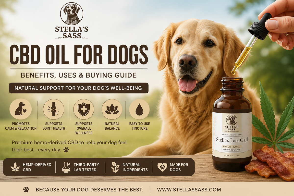 CBD Oil for Dogs Benefits, Uses & Buying Guide