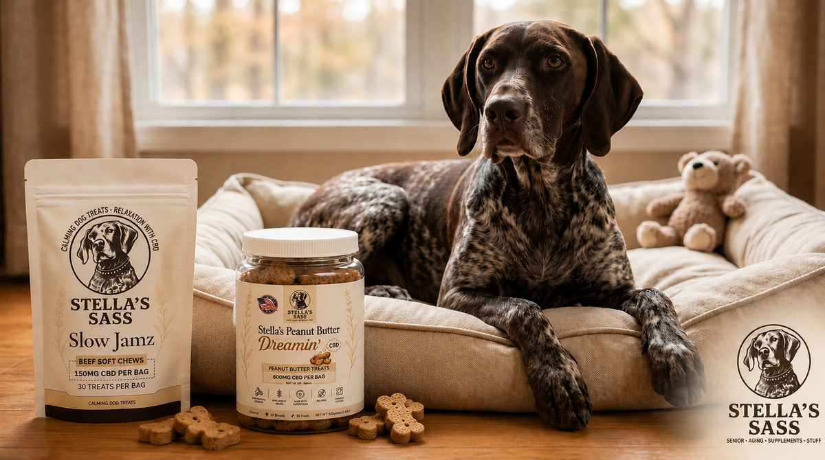 Best Dog Anxiety Treats: How CBD Calming Dog Treats Help Reduce Stress