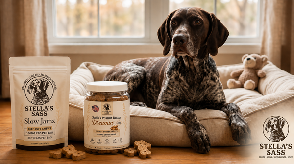 Best Dog Anxiety Treats: How CBD Calming Dog Treats Help Reduce Stress