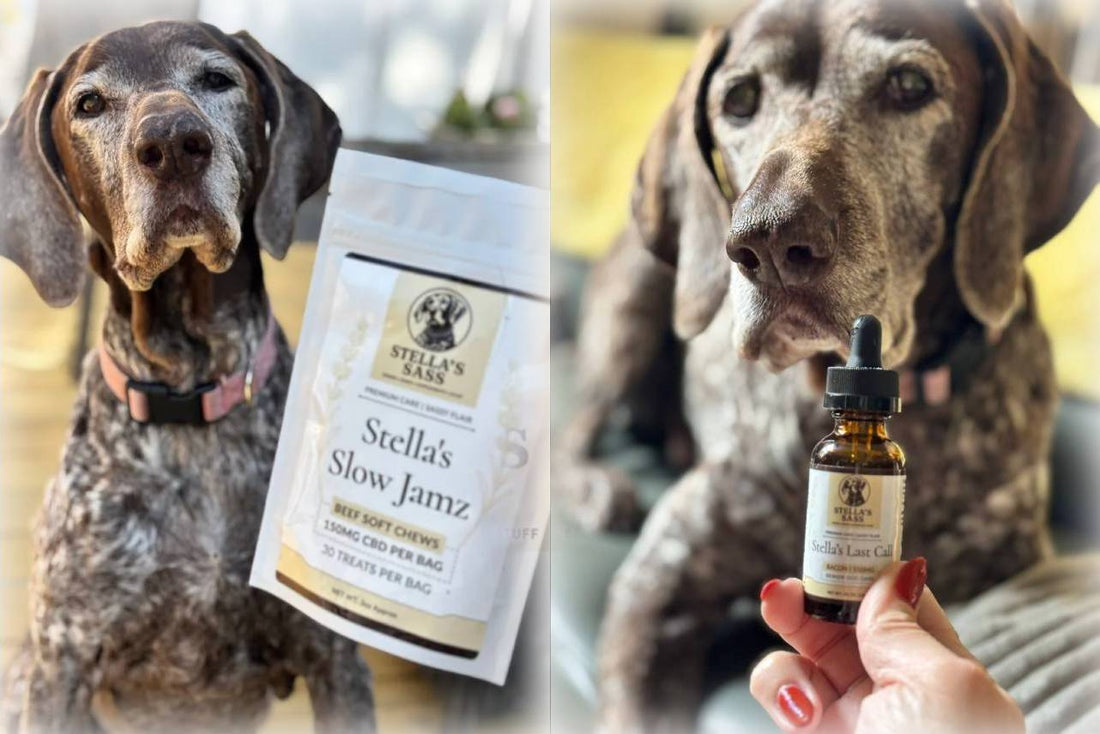 CBD dog calming treats