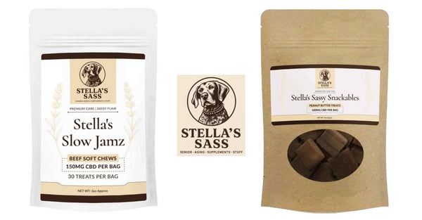 A Complete Guide to Choosing the Best Joint Supplement for Dogs in 2026