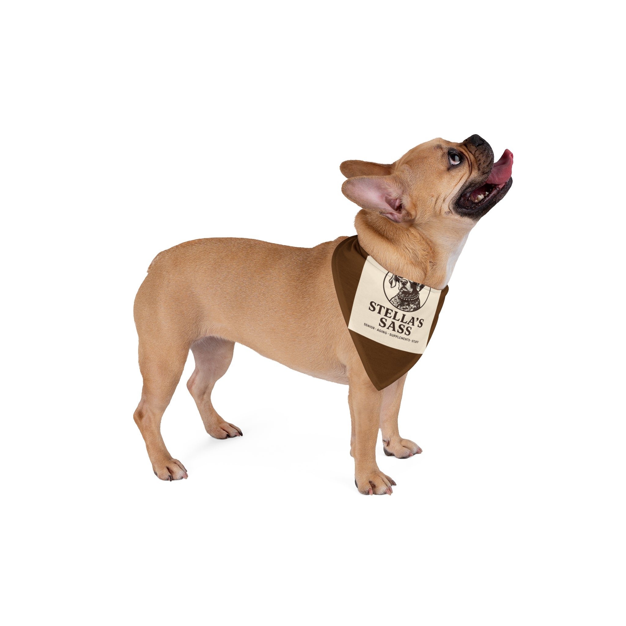 Stella’s Pack Bandana – For Dogs With Serious SASS