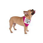 Stella Strong Pet Bandana