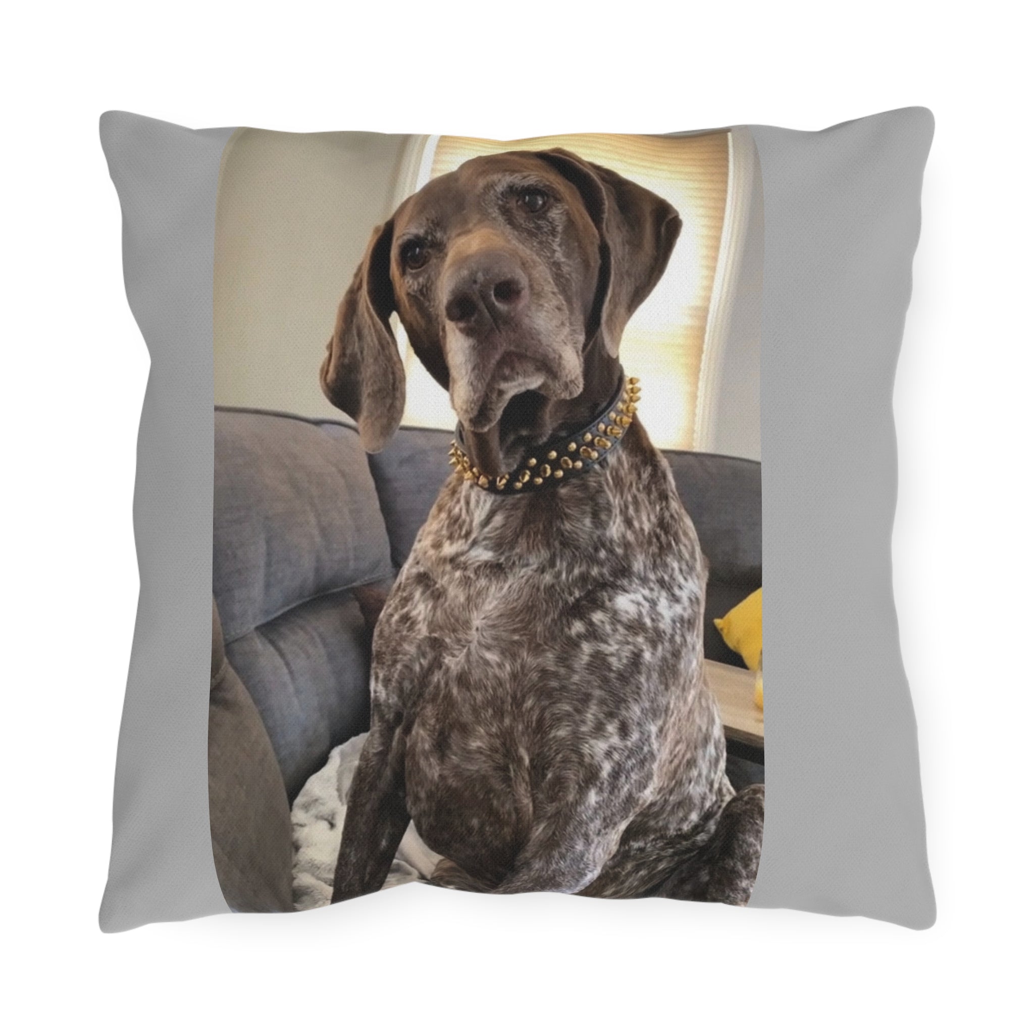 Stay Sassy Outdoor Pillow - Cozy Decor for Dog Lovers