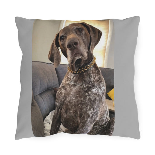 Stay Sassy Outdoor Pillow - Cozy Decor for Dog Lovers