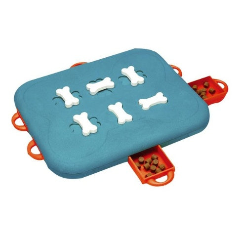 Pet Casino Treasure Hunt Puzzle