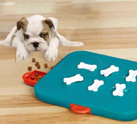 Pet Casino Treasure Hunt Puzzle