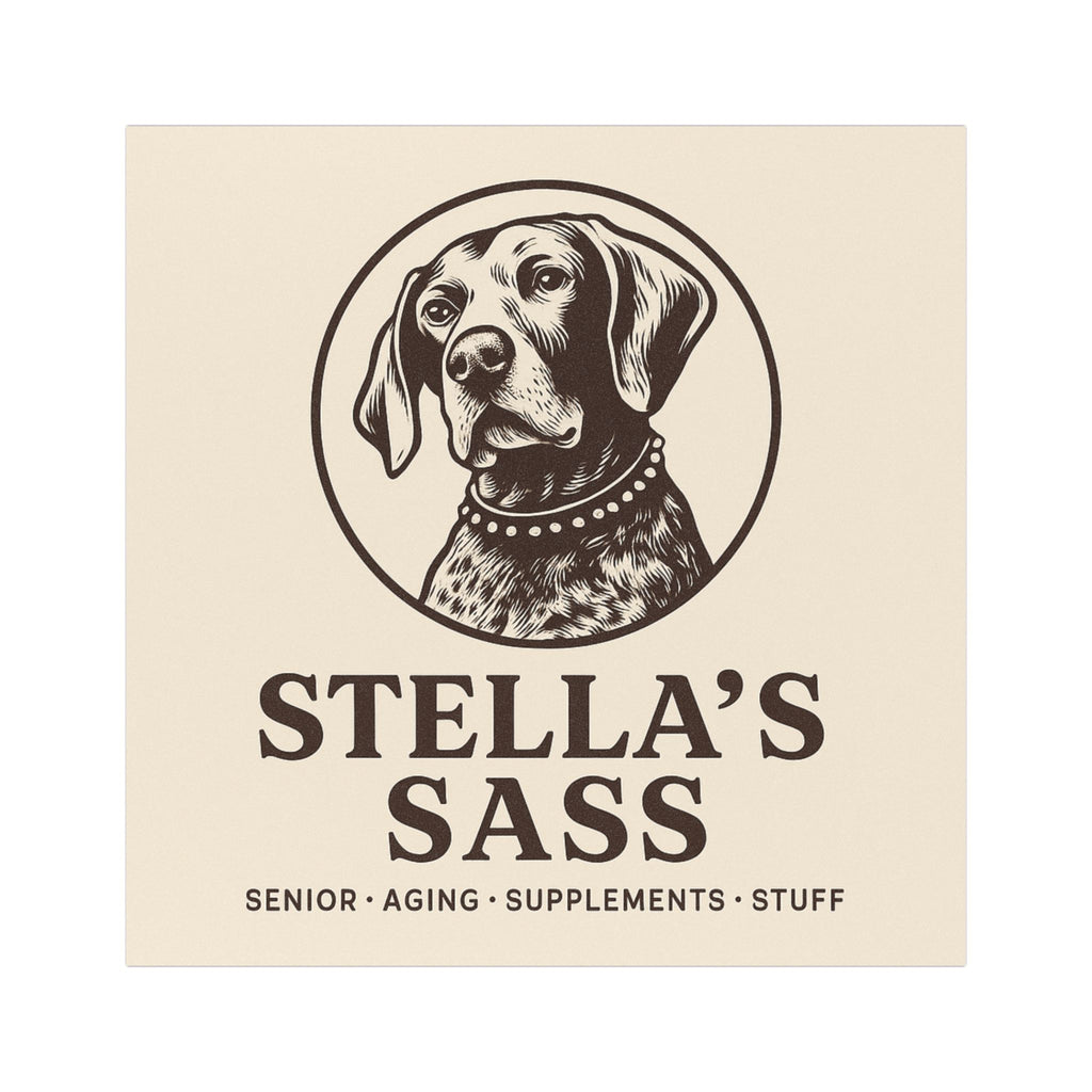 Stella’s Sass Car Magnet