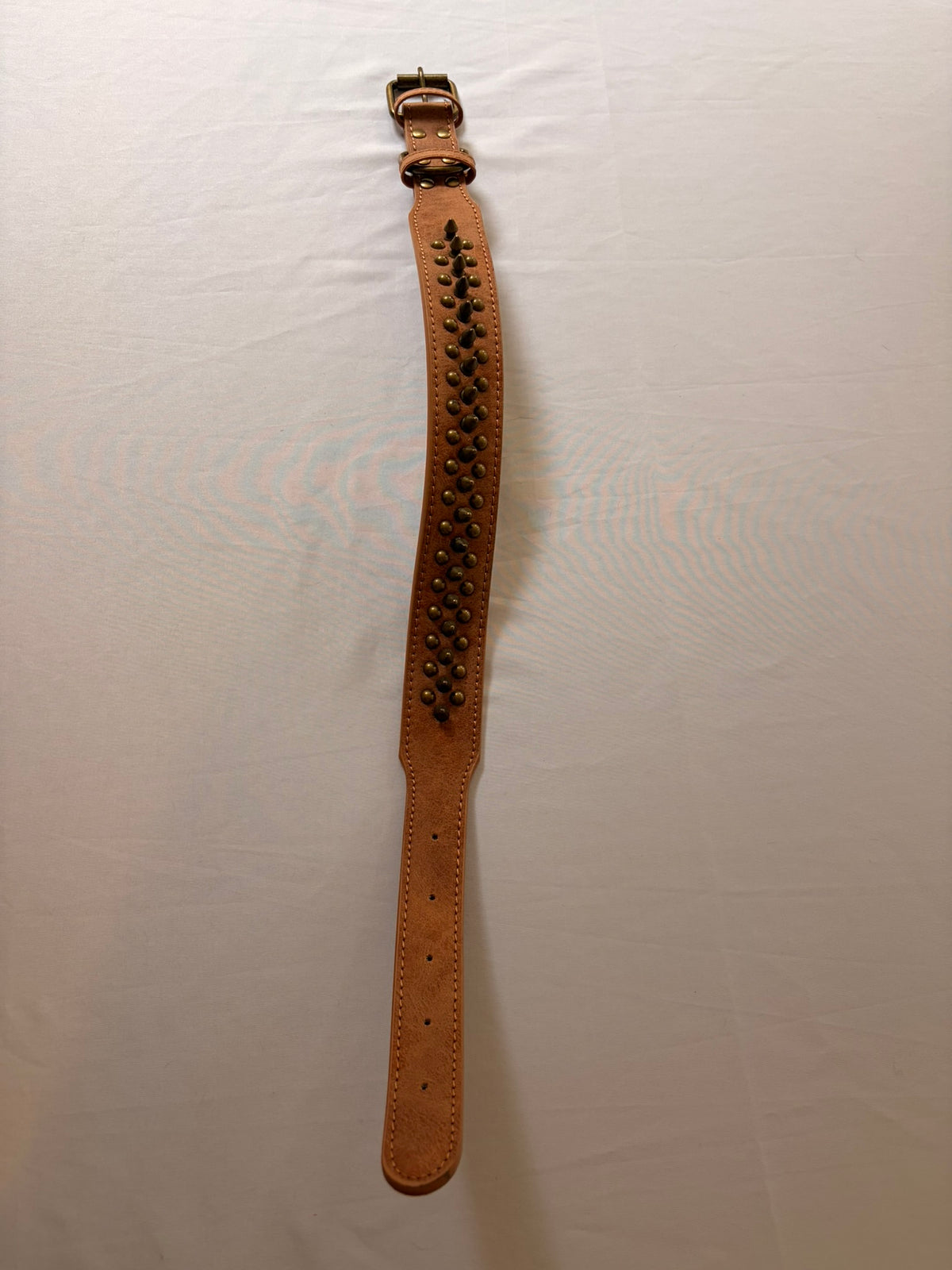 Stella's Classic Brown Studded Collar 🤎🐾