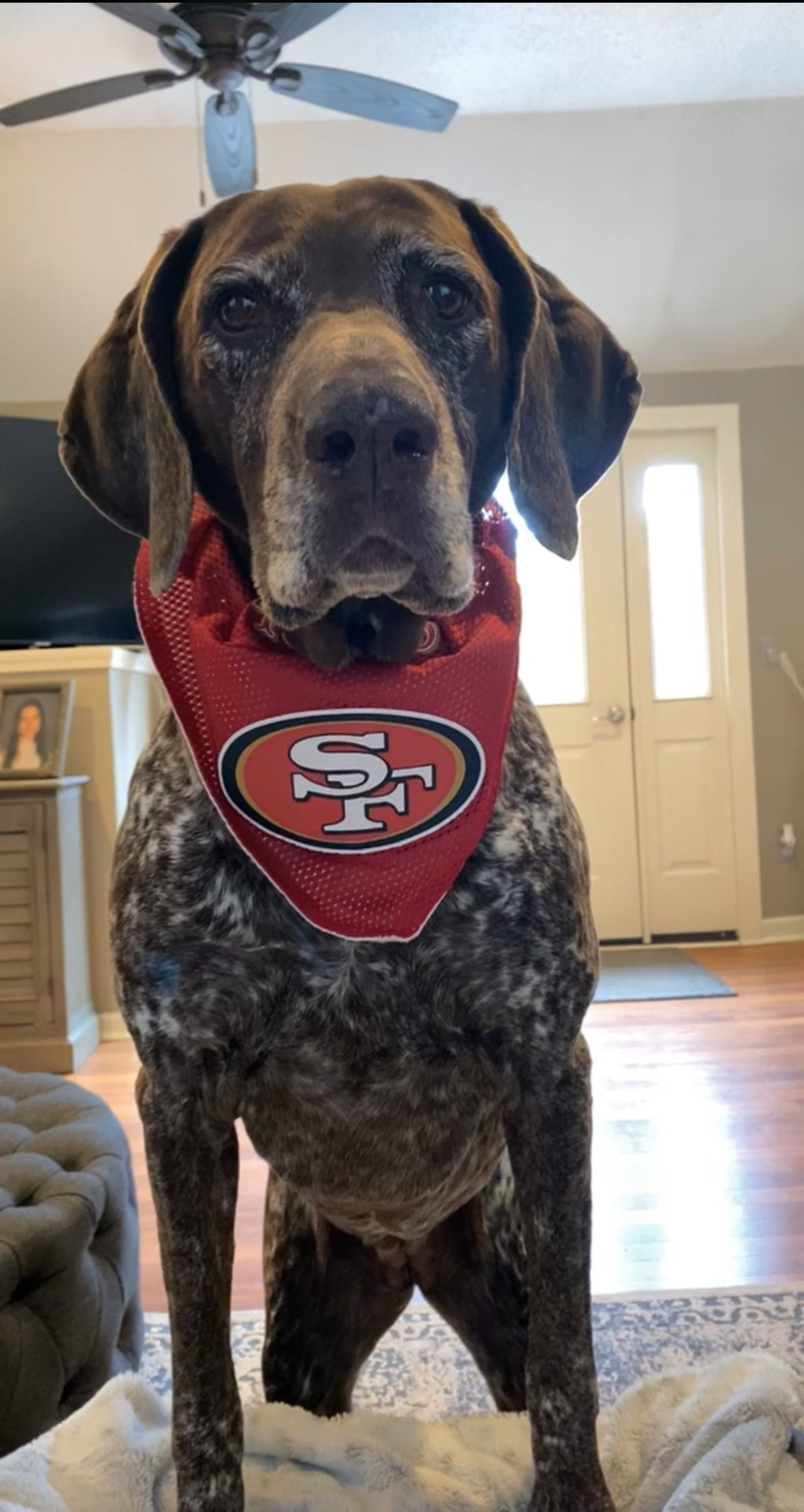 Stella's Game Day Glory — San Francisco 49ers Jersey & Scarf Bundle 🏈❤️