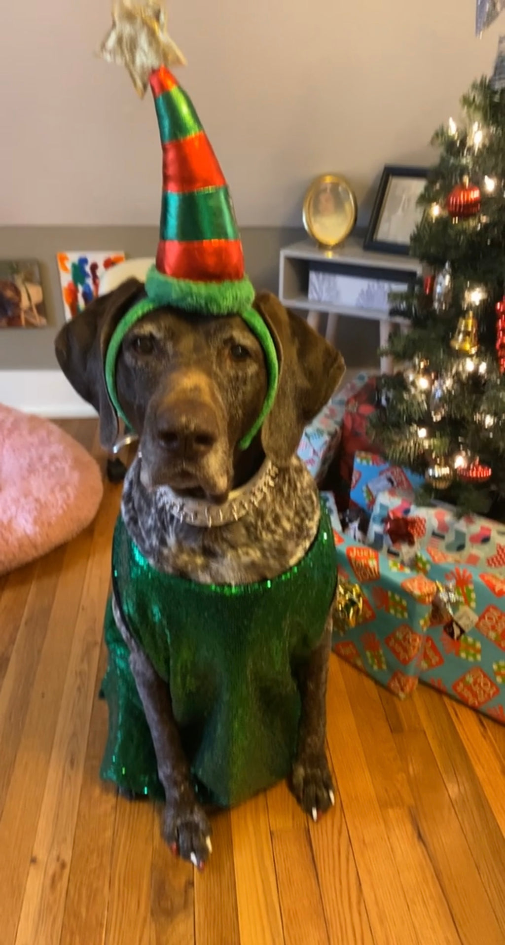 Stella's Christmas Tree Glam — Holiday Headband & Sequin Top 🎄✨