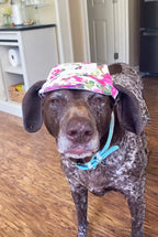 Stella's Spring Fling — The Hat She Never Asked For! 🌸😂