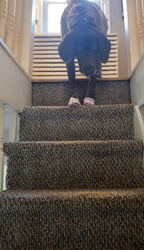 Stella's Red Carpet Walk — The Sneakers That Stole the Show! 👟😂