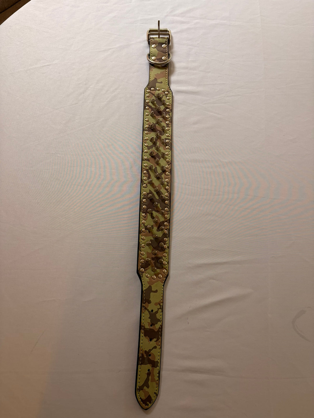 Stella's Camo & Attitude Collar 🪖🐾