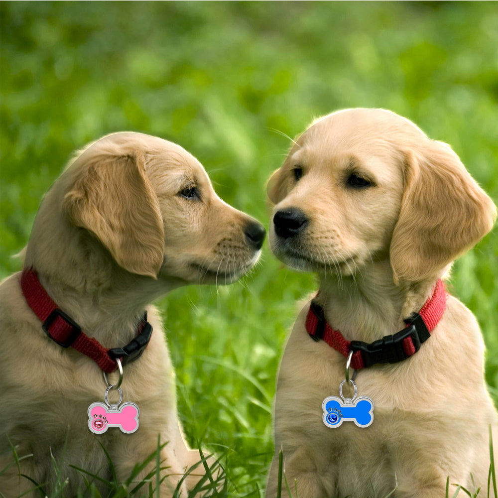 Personalized Dog ID Tag Pet Dog Accessories