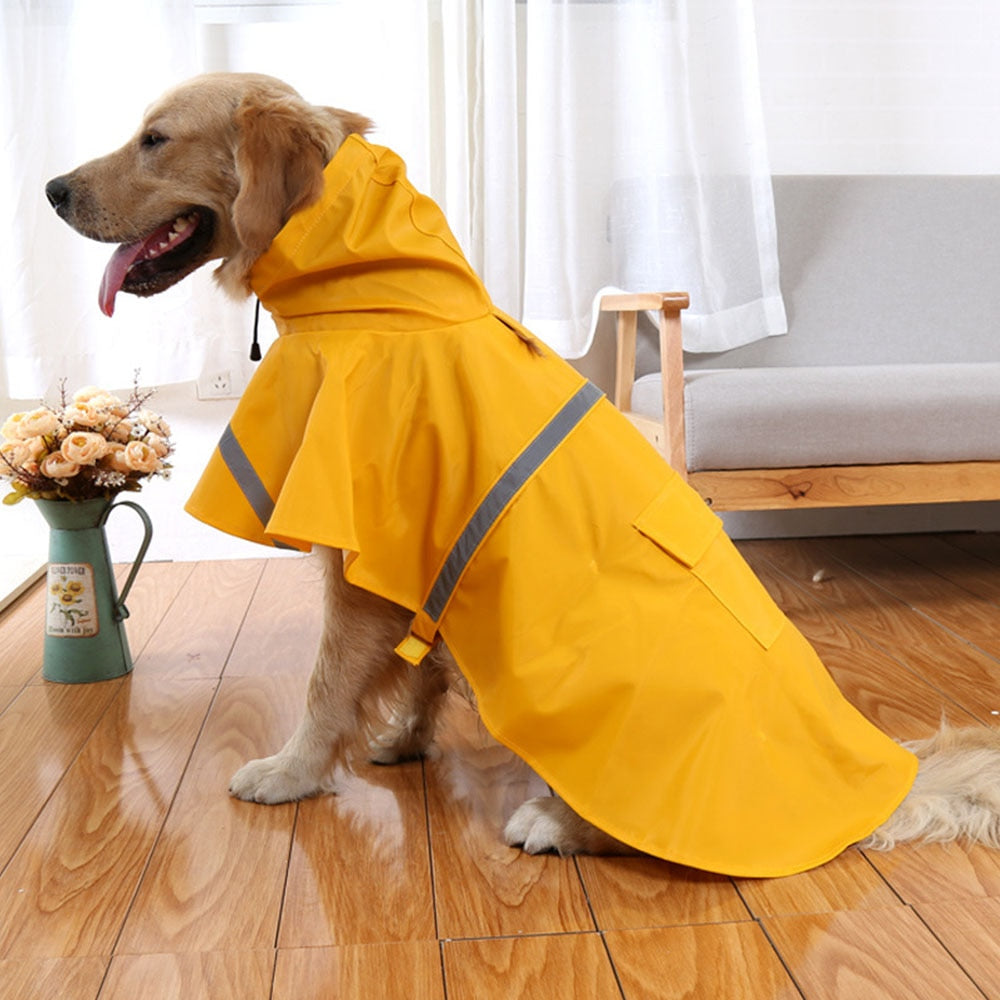 “Too Sassy to Soak” Dog Raincoat