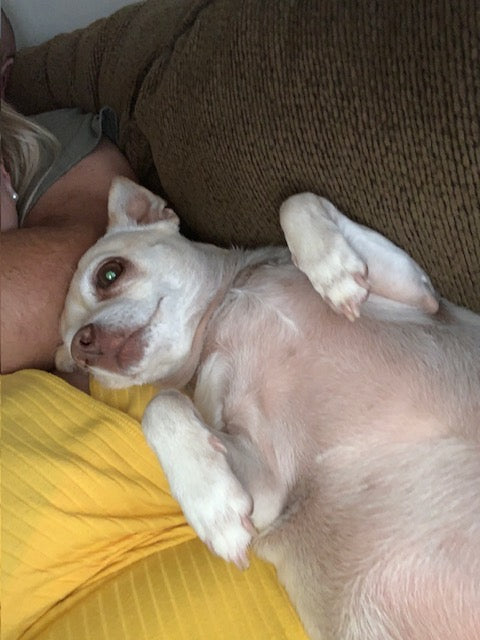 Another Stella