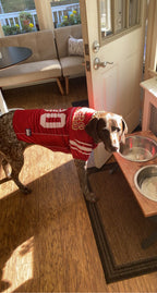 Stella's Game Day Glory — San Francisco 49ers Jersey & Scarf Bundle 🏈❤️