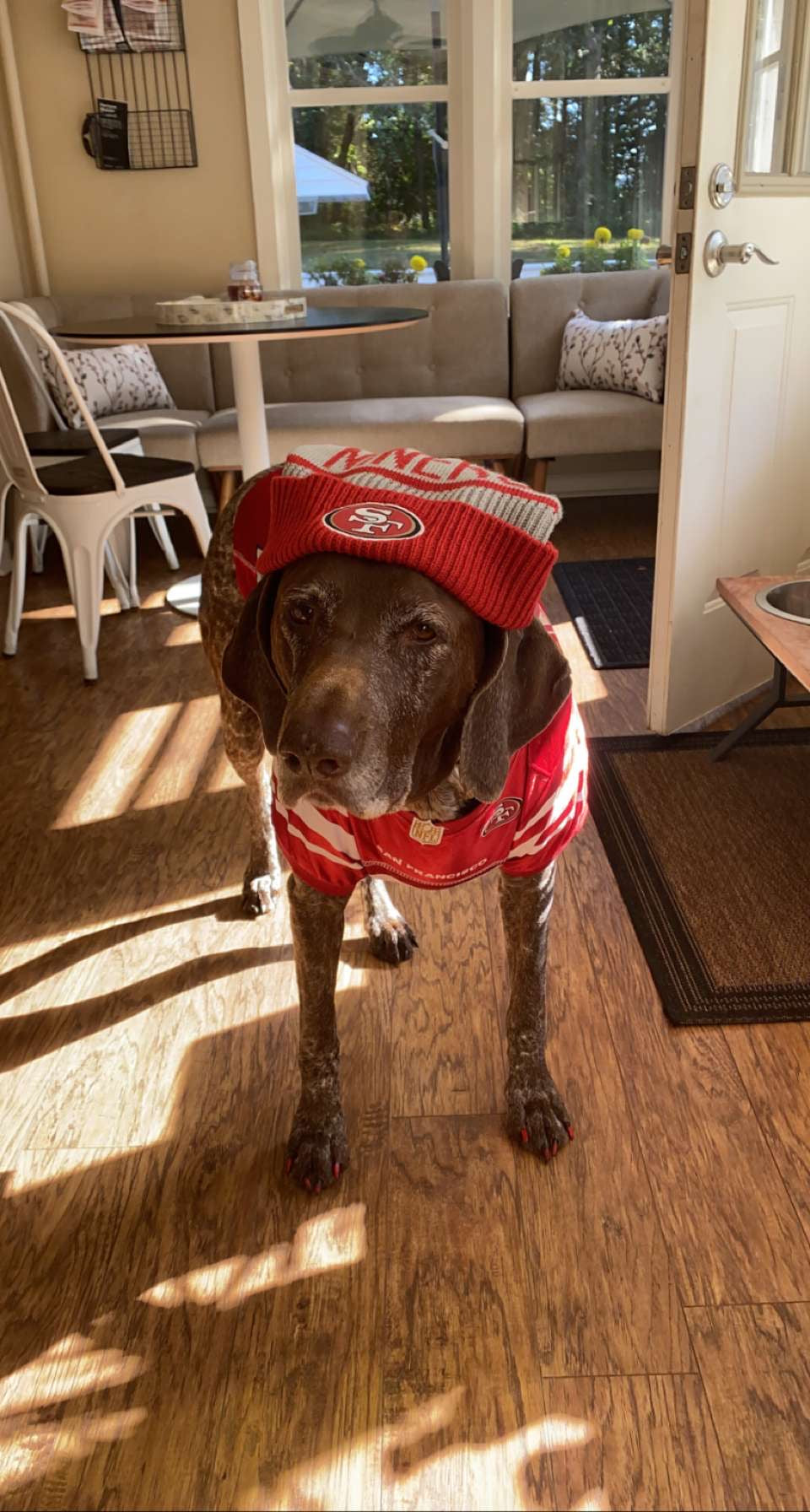 Stella's Game Day Glory — San Francisco 49ers Jersey & Scarf Bundle 🏈❤️