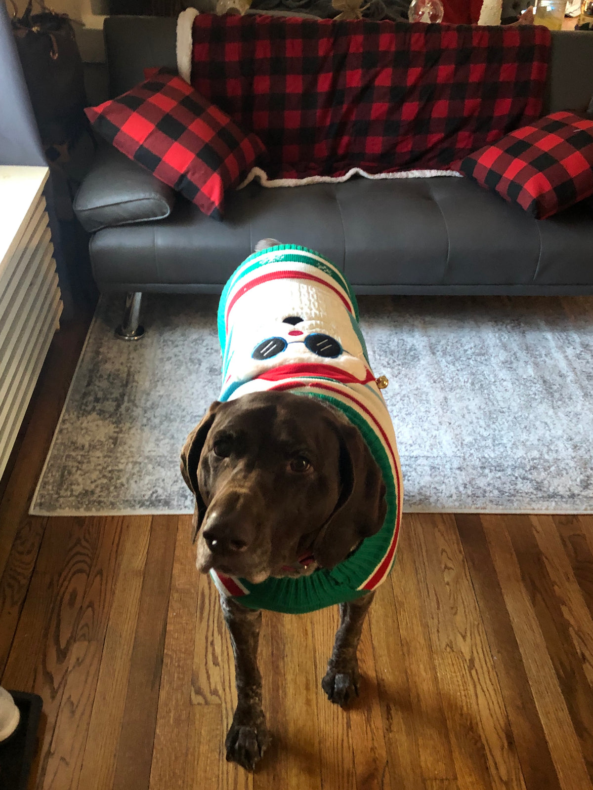 Stella's Christmas Tradition — Her Famous Holiday Sweater 🎄❤️