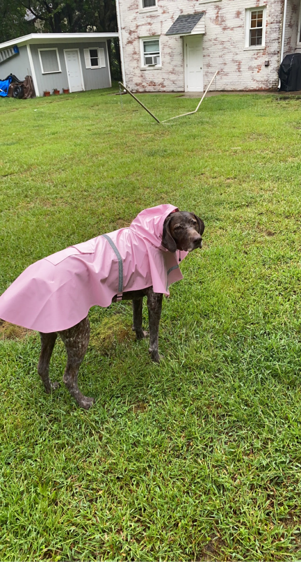Stella's Iconic Pink Raincoat