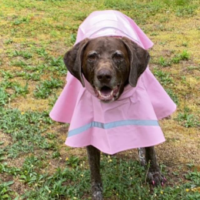 Stella's Iconic Pink Raincoat