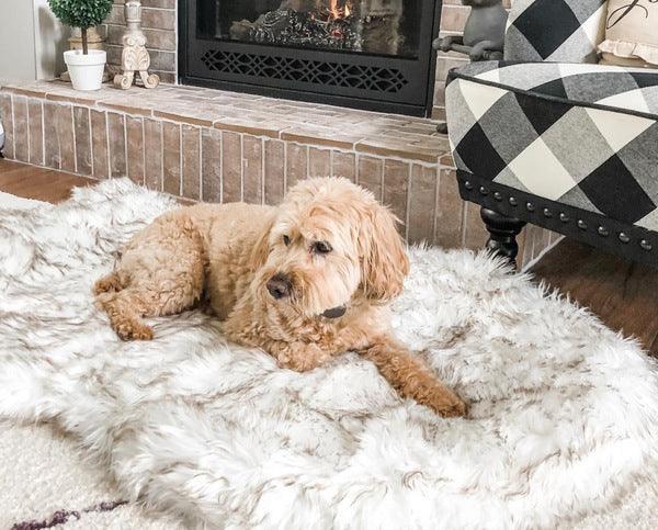 Cozycanine Plush Dog Bed - Luxurious Beige Mat For Restful Pet Sleep
