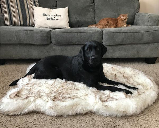 Cozycanine Plush Dog Bed - Luxurious Beige Mat For Restful Pet Sleep