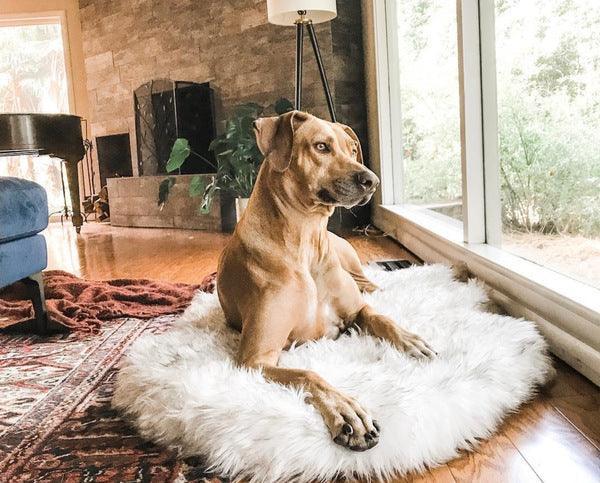 Cozycanine Plush Dog Bed - Luxurious Beige Mat For Restful Pet Sleep