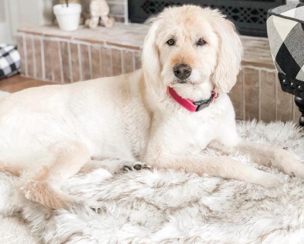 Cozycanine Plush Dog Bed - Luxurious Beige Mat For Restful Pet Sleep