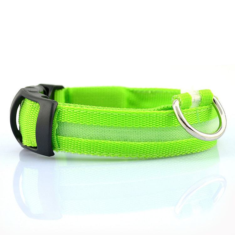 Stella’s Favorite: USB Rechargeable LED Dog Collar