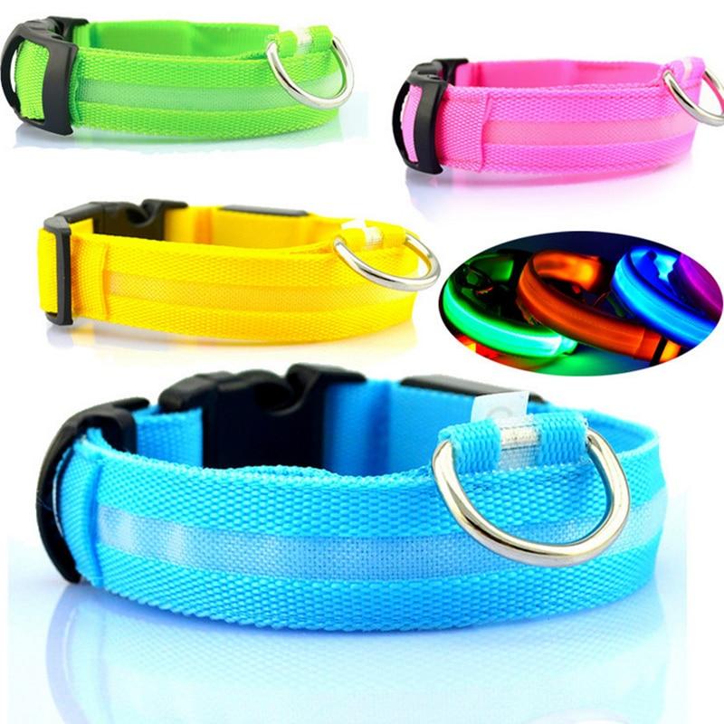 Stella’s Favorite: USB Rechargeable LED Dog Collar