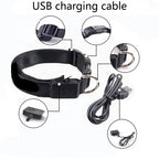 Stella’s Favorite: USB Rechargeable LED Dog Collar