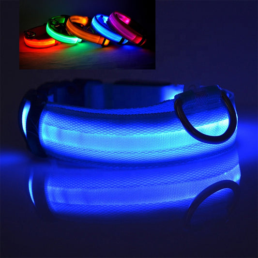 Stella’s Favorite: USB Rechargeable LED Dog Collar