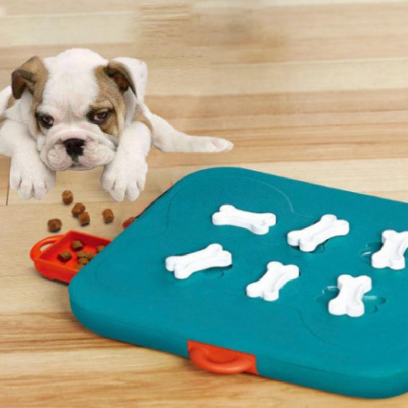Pet Casino Treasure Hunt Puzzle