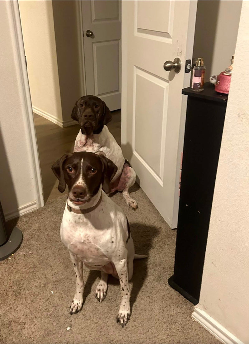 Meet Charlie and Joy