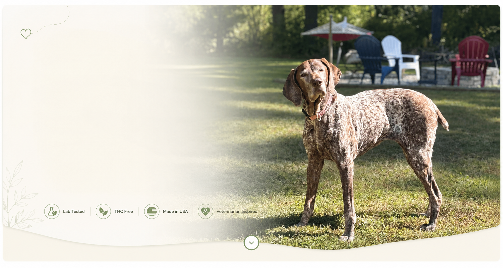 Helping Dogs Live Happier, Healthier Lives Naturally.